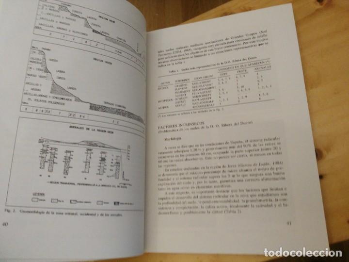 Libros de segunda mano: Libro La RIbera del Duero. Sus Vi&ntilde;as y Sus Vinos - 1992 - Foto 5
