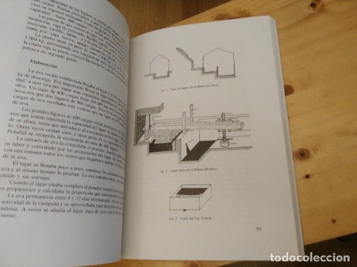 Libros de segunda mano: Libro La RIbera del Duero. Sus Vi&ntilde;as y Sus Vinos - 1992 - Foto 6