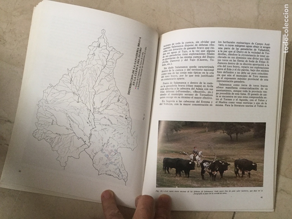 Libros de segunda mano: GEOGRAF&Iacute;A ESPA&Ntilde;OLA DEL TORO DE LIDIA - Foto 3