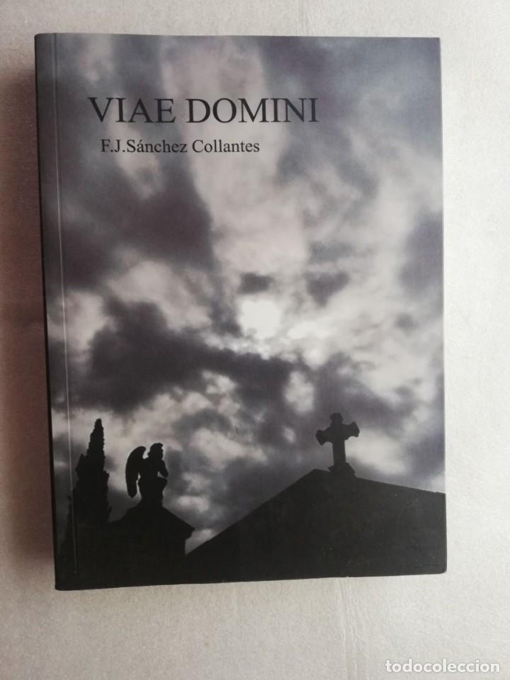 Libros de segunda mano: VIAE DOMINI-F.J.S&Aacute;NCHEZ COLLANTES - Foto 1