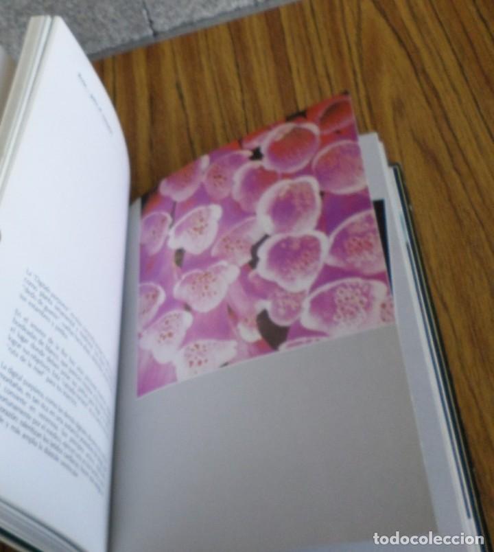 Libros de segunda mano: SABER OBSERVAR - Antonio Zappino - Ed. Paulinas 1981 - Foto 6