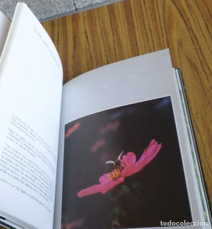 Libros de segunda mano: SABER OBSERVAR - Antonio Zappino - Ed. Paulinas 1981 - Foto 7