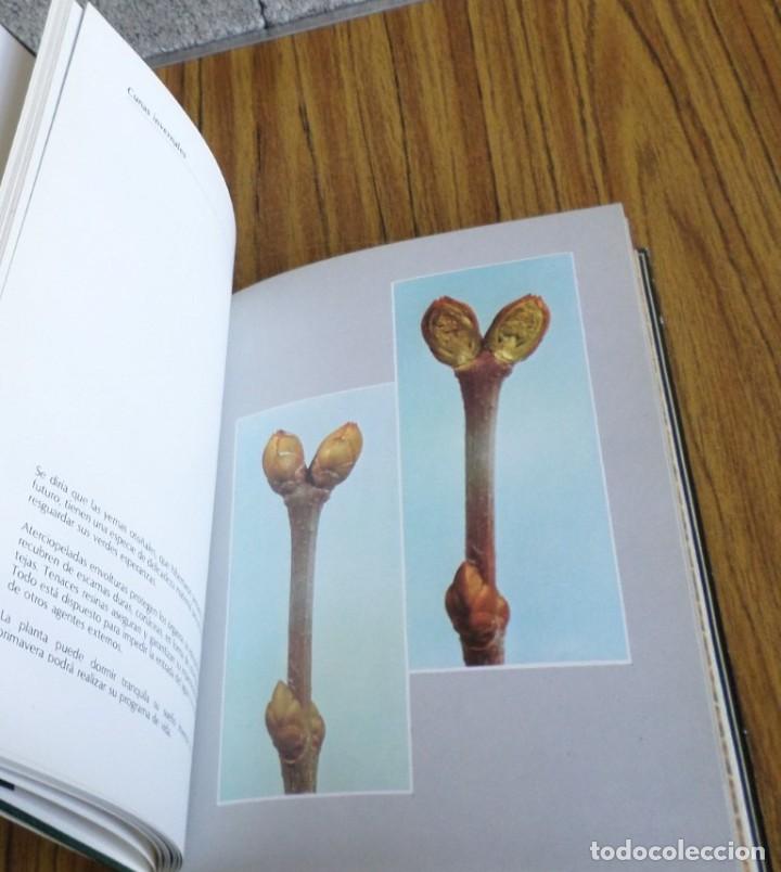 Libros de segunda mano: SABER OBSERVAR - Antonio Zappino - Ed. Paulinas 1981 - Foto 8