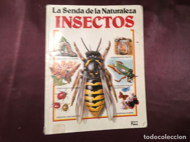 Libros de segunda mano: LIBRO LA SENDA DE LA NATURALEZA INSECTOS - Foto 1