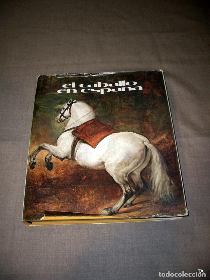 Libros de segunda mano: El caballo en Espa&ntilde;a. REF-2464 - Foto 1