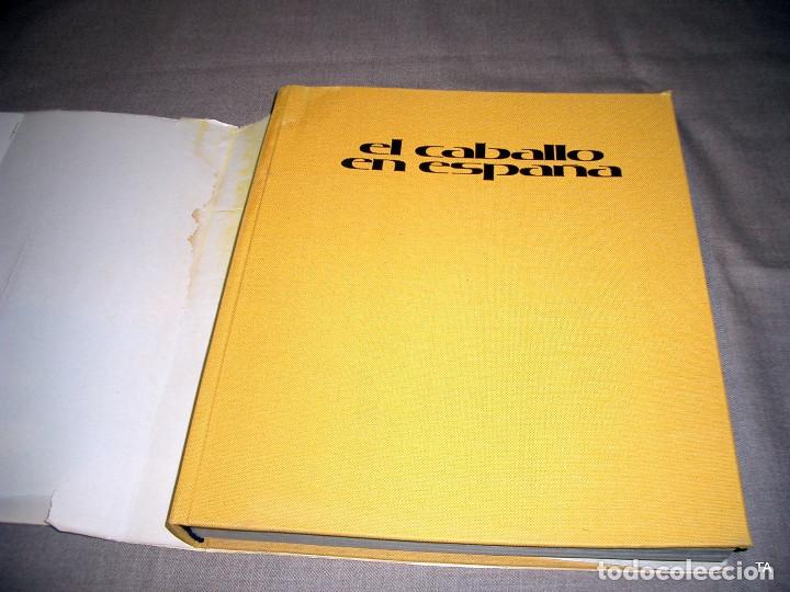 Libros de segunda mano: El caballo en Espa&ntilde;a. REF-2464 - Foto 3