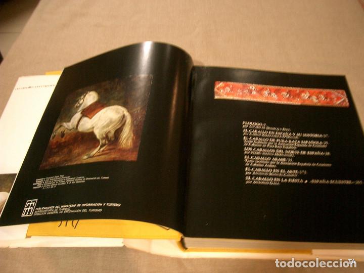 Libros de segunda mano: El caballo en Espa&ntilde;a. REF-2464 - Foto 7