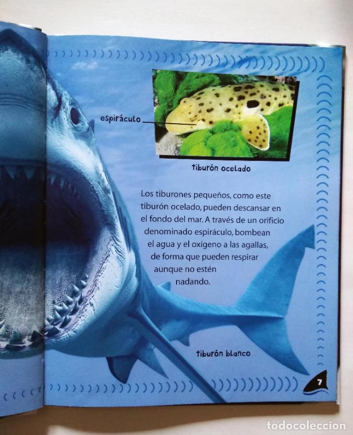 Libros de segunda mano: Tibur&oacute;n | VV.AA. | Ediciones Beascoa, 2007 - Foto 5