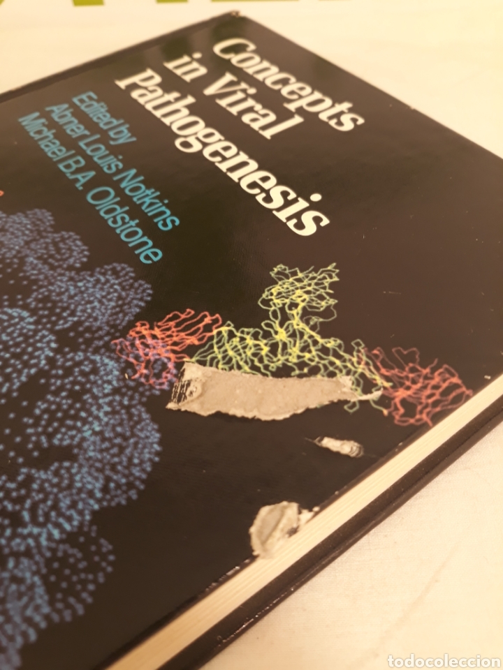 Libros de segunda mano: Concepts in viral pathogenesis. Springer -Verlag. - Foto 4