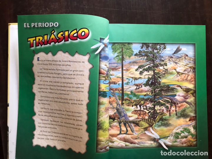 Libros de segunda mano: El gran libro de los dinosaurios. Servilibro. Como nuevo - Foto 7