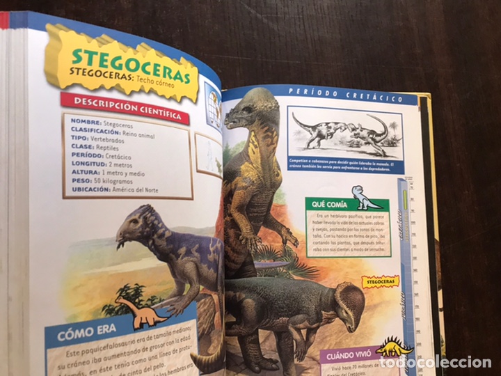 Libros de segunda mano: El gran libro de los dinosaurios. Servilibro. Como nuevo - Foto 9