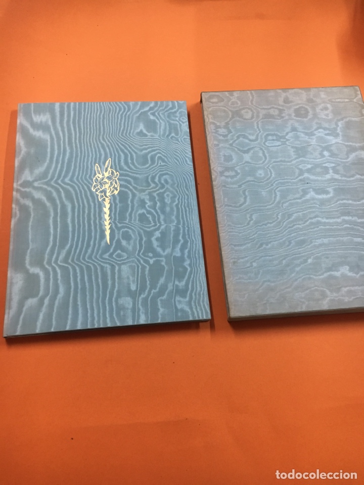 Libros de segunda mano: Maria Assvmpta - Foto 2