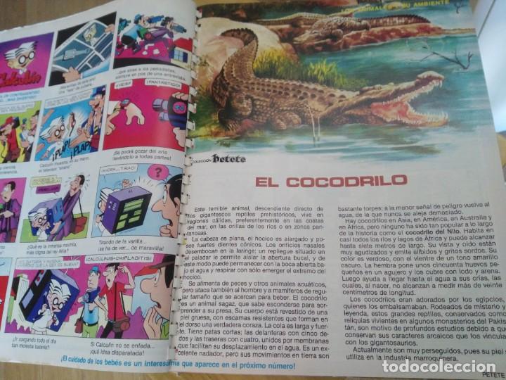 el libro gordo de petete -coleccionable n.23 - Buy Other used literature  books for children and young adults on todocoleccion