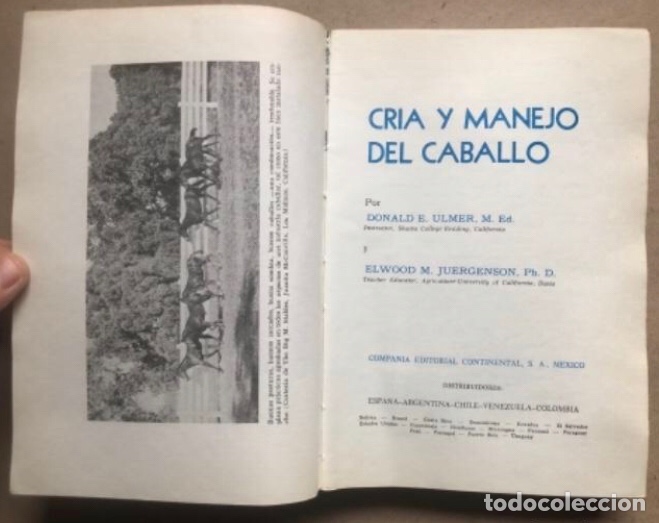 Libros de segunda mano: CR&Iacute;A Y MANEJO DEL CABALLO. ULMER & JURGENSON. COMPA&Ntilde;&Iacute;A EDITORIAL CONTINENTAL 1978. - Foto 2