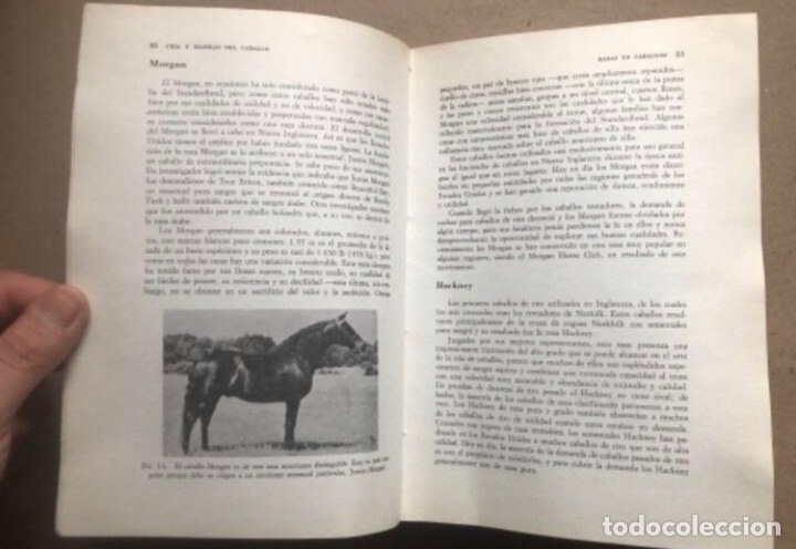 Libros de segunda mano: CR&Iacute;A Y MANEJO DEL CABALLO. ULMER & JURGENSON. COMPA&Ntilde;&Iacute;A EDITORIAL CONTINENTAL 1978. - Foto 4