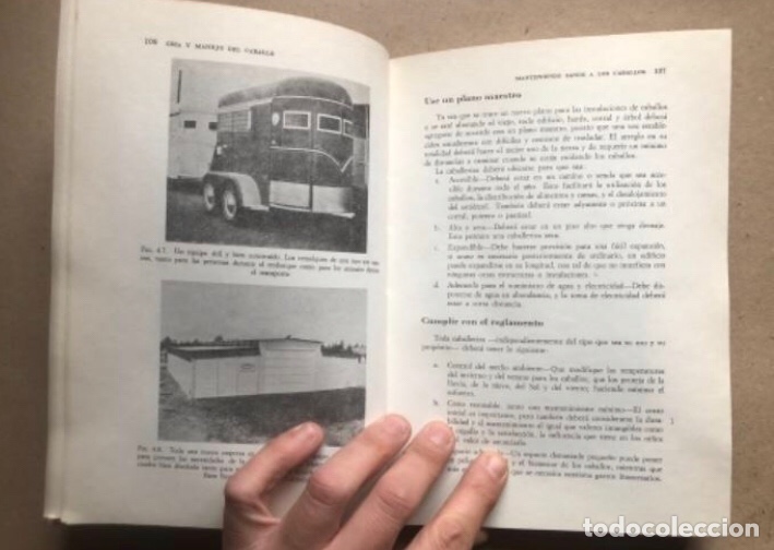 Libros de segunda mano: CR&Iacute;A Y MANEJO DEL CABALLO. ULMER & JURGENSON. COMPA&Ntilde;&Iacute;A EDITORIAL CONTINENTAL 1978. - Foto 7