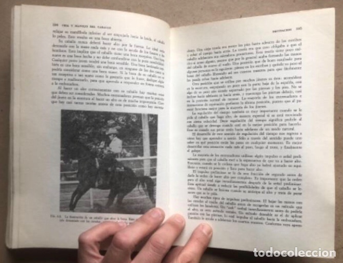 Libros de segunda mano: CR&Iacute;A Y MANEJO DEL CABALLO. ULMER & JURGENSON. COMPA&Ntilde;&Iacute;A EDITORIAL CONTINENTAL 1978. - Foto 9