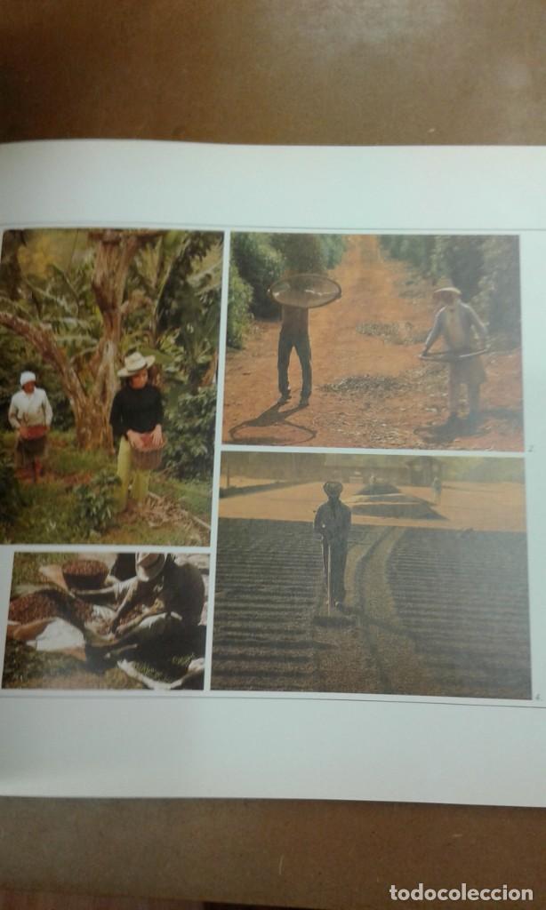 Libros de segunda mano: El libro del cafe por Nestor Lujan - Foto 2