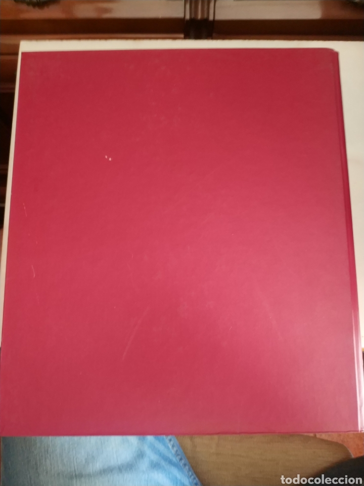 Libros de segunda mano: Los Borja. Mario Menotti. - Foto 2