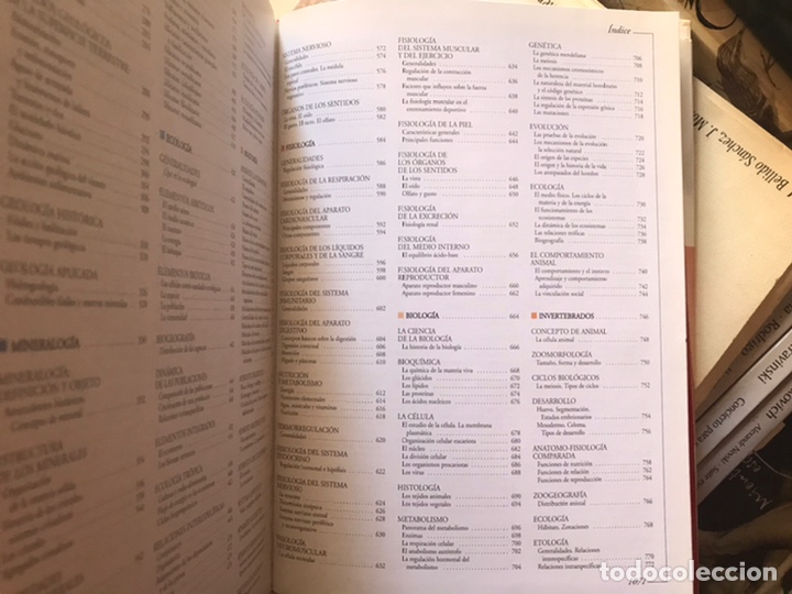 Libros de segunda mano: Atlas visual de las ciencias. Nivel 10. Programa de apoyo escolar interactivo. Oc&eacute;ano - Foto 7