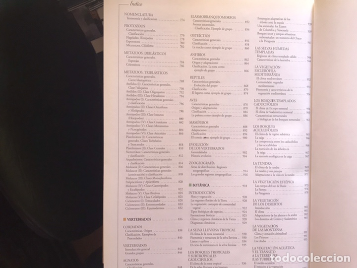 Libros de segunda mano: Atlas visual de las ciencias. Nivel 10. Programa de apoyo escolar interactivo. Oc&eacute;ano - Foto 8