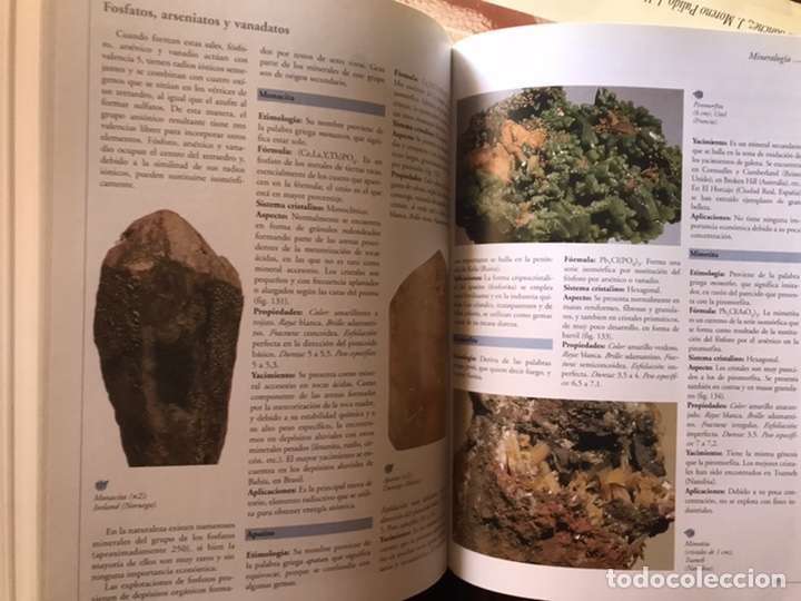 Libros de segunda mano: Atlas visual de las ciencias. Nivel 10. Programa de apoyo escolar interactivo. Oc&eacute;ano - Foto 10