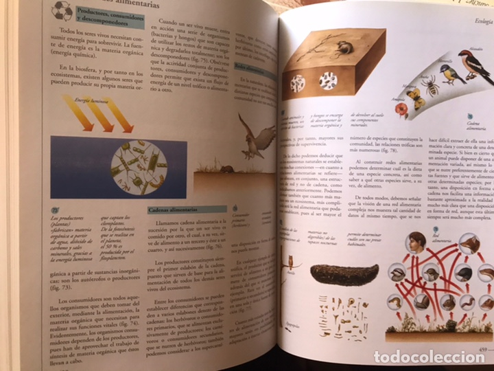 Libros de segunda mano: Atlas visual de las ciencias. Nivel 10. Programa de apoyo escolar interactivo. Oc&eacute;ano - Foto 11