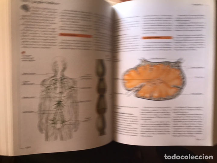 Libros de segunda mano: Atlas visual de las ciencias. Nivel 10. Programa de apoyo escolar interactivo. Oc&eacute;ano - Foto 12