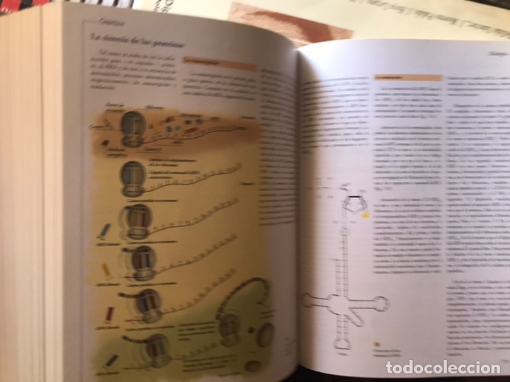 Libros de segunda mano: Atlas visual de las ciencias. Nivel 10. Programa de apoyo escolar interactivo. Oc&eacute;ano - Foto 13