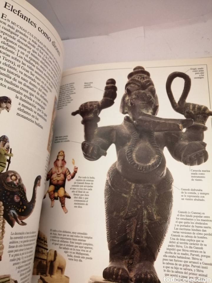 Libros de segunda mano: ELEFANTES DE Ian Redmond - Foto 4