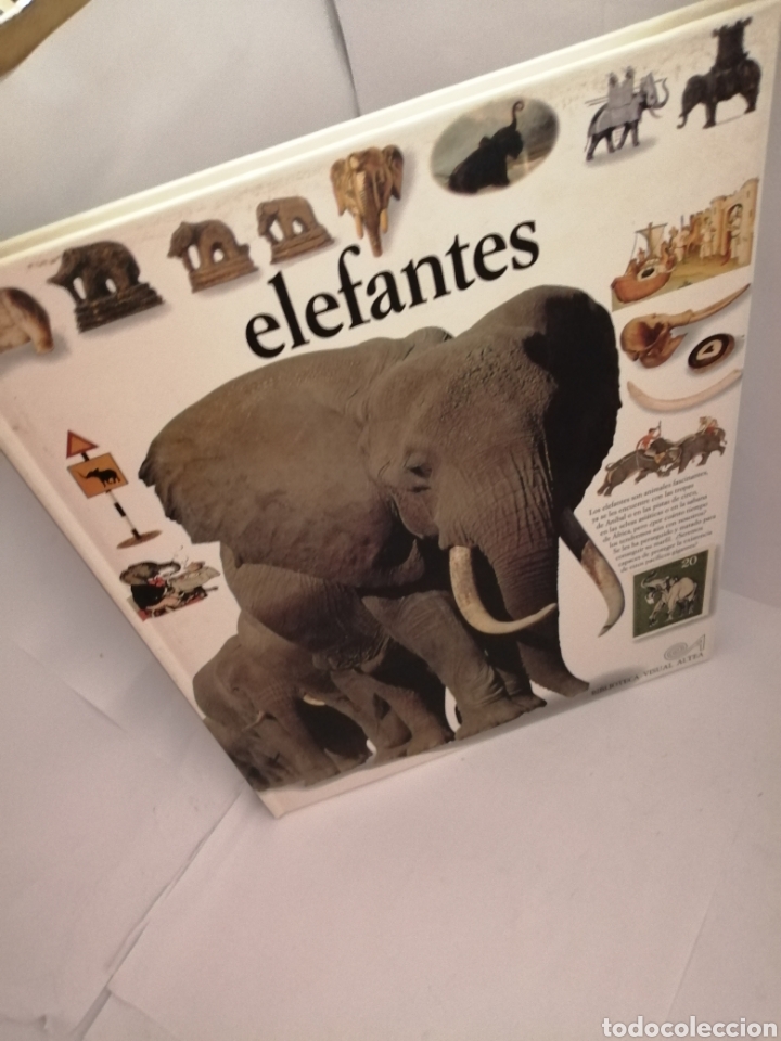 Libros de segunda mano: ELEFANTES DE Ian Redmond - Foto 7