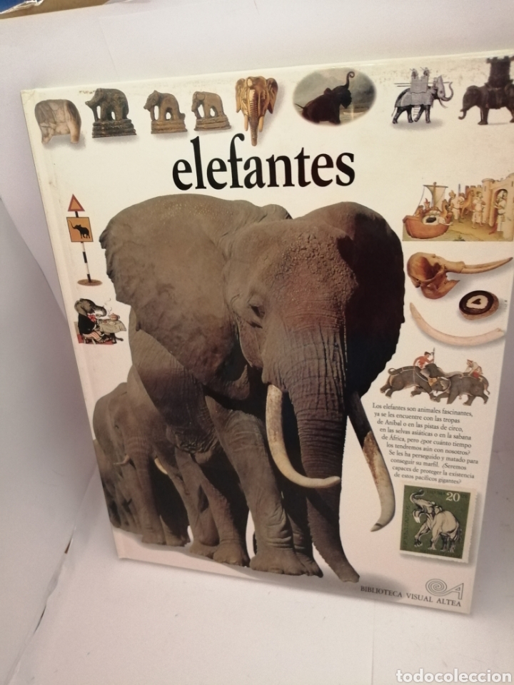 Libros de segunda mano: ELEFANTES DE Ian Redmond - Foto 1