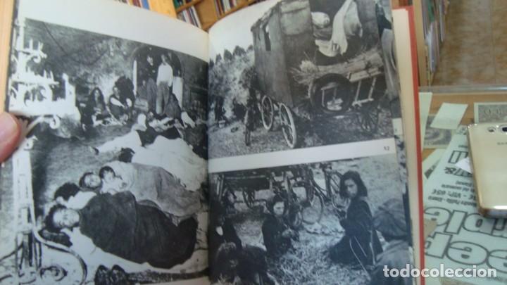 Libros de segunda mano: CLEBERT J. P. - LOS GITANOS. Pr&oacute;logo del Dr. Julio Caro Baroja. - Foto 4