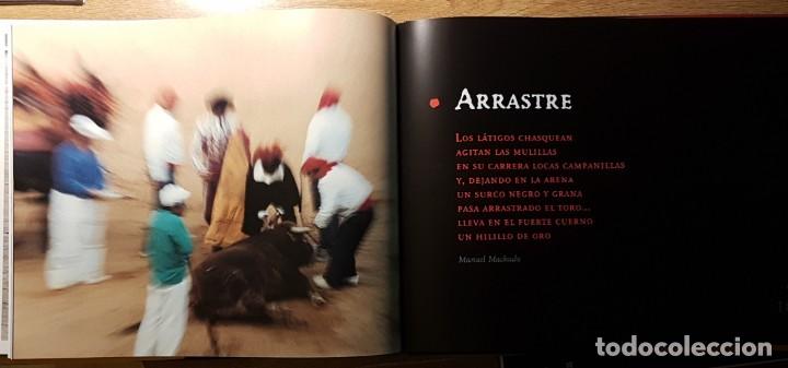 Libros de segunda mano: LIBRO EL TOREO. ALFREDO PUENTE HERNANDO 1999. 160 PAG. - Foto 3