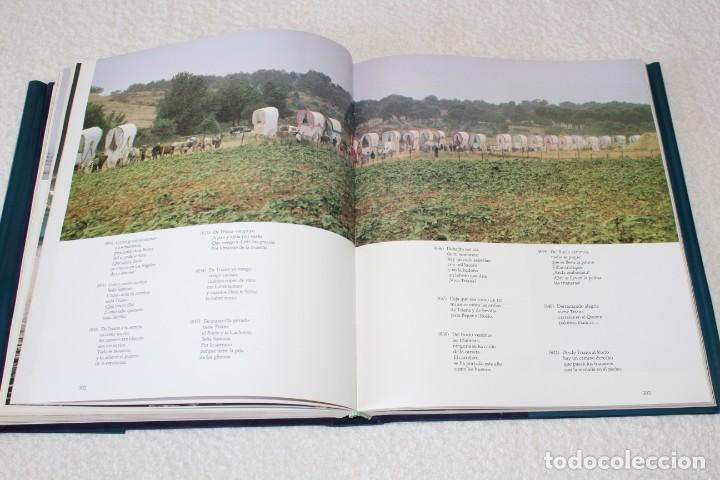 Libros de segunda mano: TRIANA. EN LABIOS DE LA COPLA / EMILIO JIMENEZ DIAZ - EDICIONES GIRALDA 1992 - Foto 17