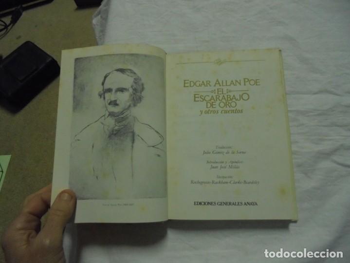 El Escarabajo De Oro Preguntas Y Respuestas