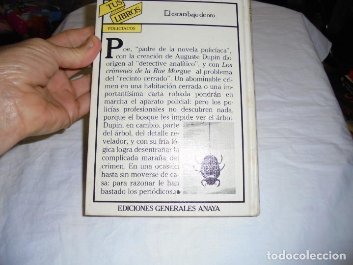 El Escarabajo De Oro Preguntas Y Respuestas