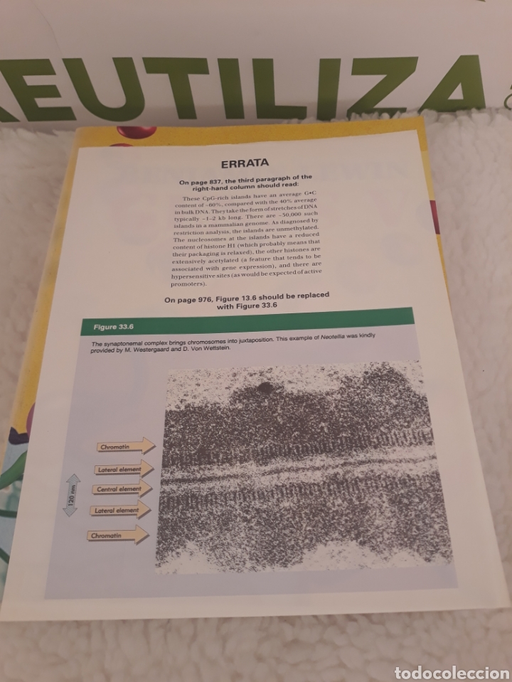 Libros de segunda mano: Benjamin Lewin. Genes V. - Foto 3