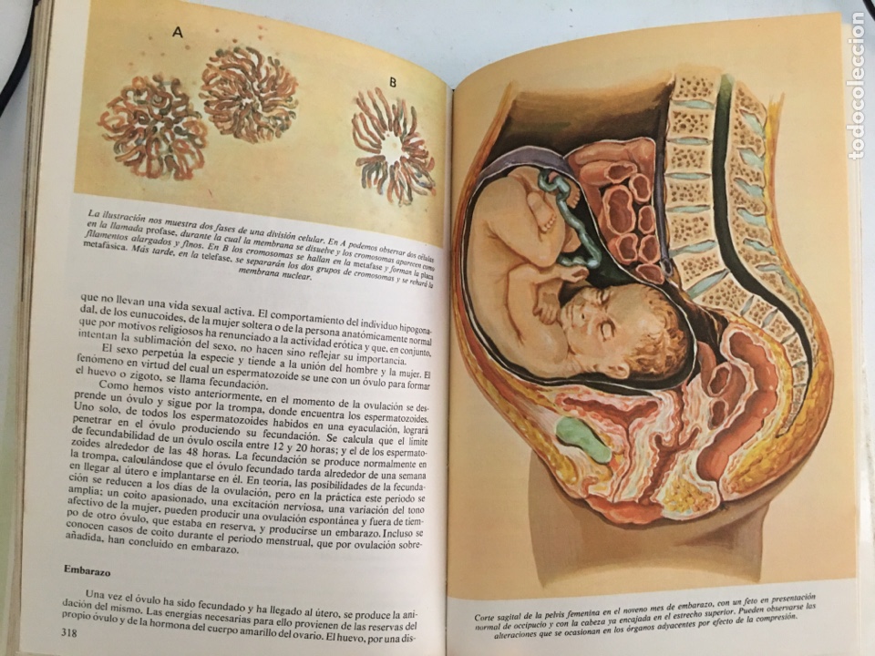 Libros de segunda mano: El Libro de la Vida Sexual - Lopez Ibor - Foto 4