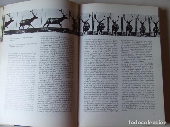 Libros de segunda mano: EL LIBRO DE LA CAZA QUEROMON 1972 GIANNI BALDI - Foto 6