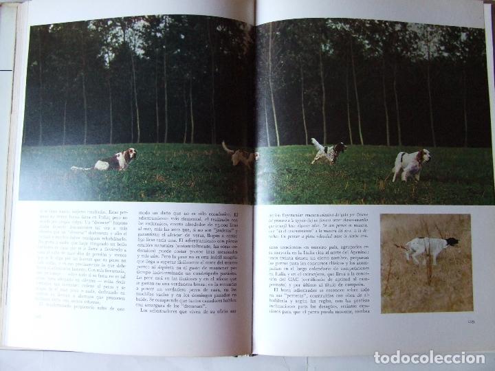 Libros de segunda mano: EL LIBRO DE LA CAZA QUEROMON 1972 GIANNI BALDI - Foto 8