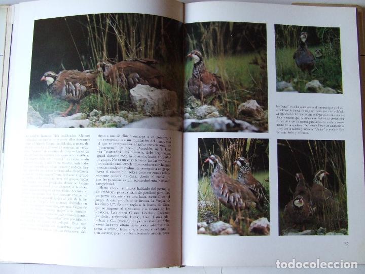 Libros de segunda mano: EL LIBRO DE LA CAZA QUEROMON 1972 GIANNI BALDI - Foto 9