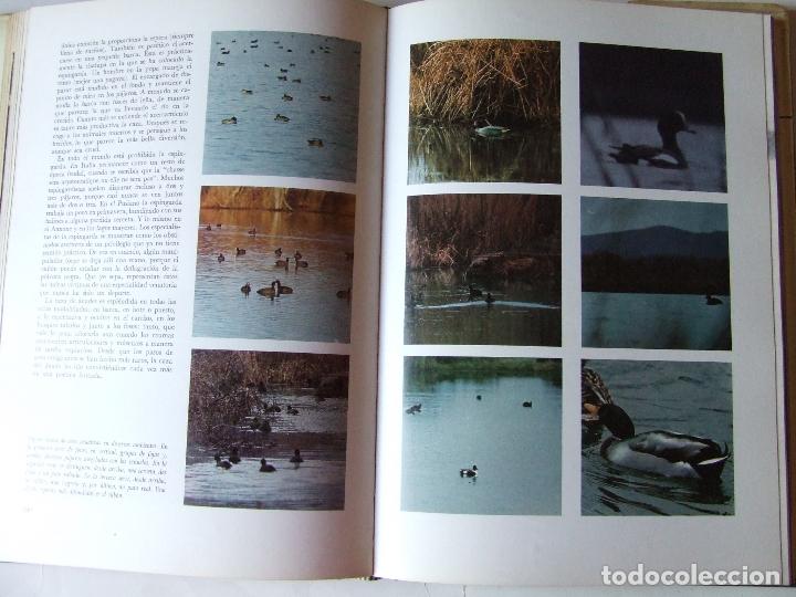 Libros de segunda mano: EL LIBRO DE LA CAZA QUEROMON 1972 GIANNI BALDI - Foto 11