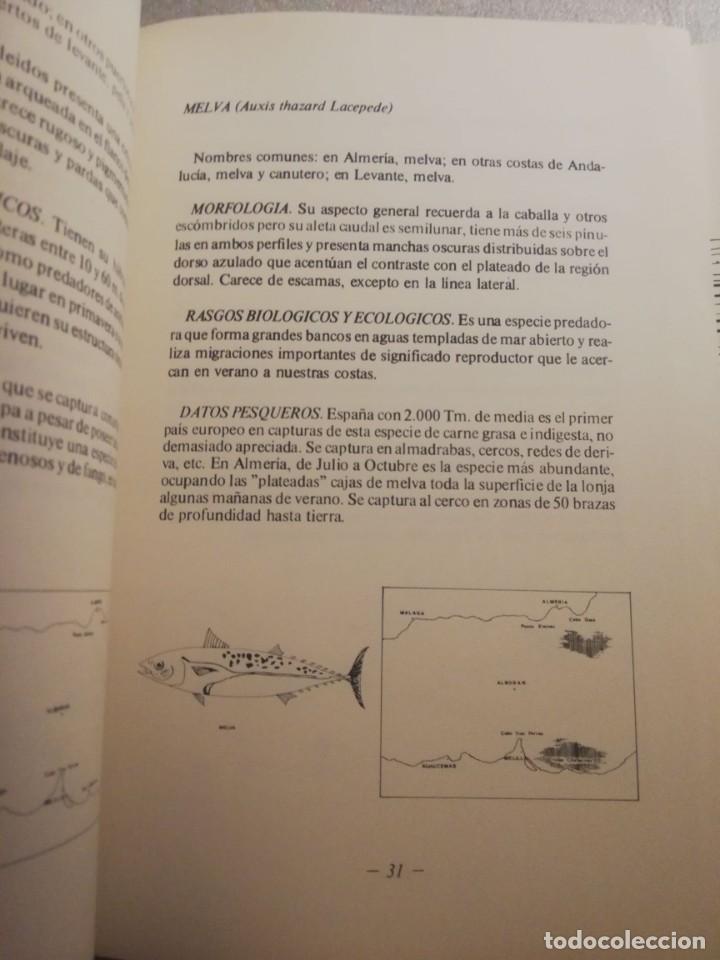 Libros de segunda mano: LA PESCA EN ALMER&Iacute;A (ALMER&Iacute;A, 1981) - Foto 7