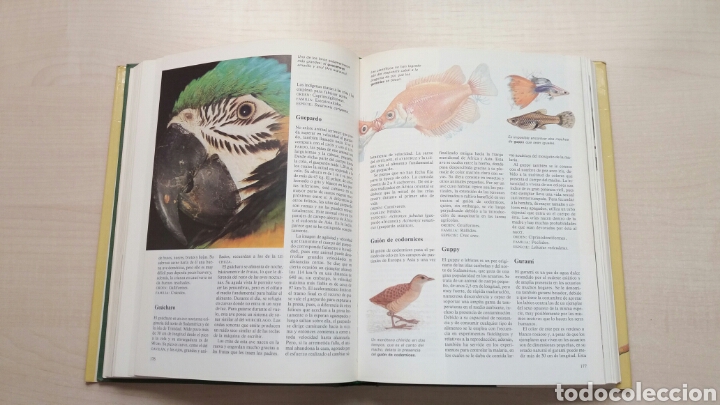 Libros de segunda mano: Diccionario de los animales. Michael Chinery. C&iacute;rculo de lectores, 1987. - Foto 10