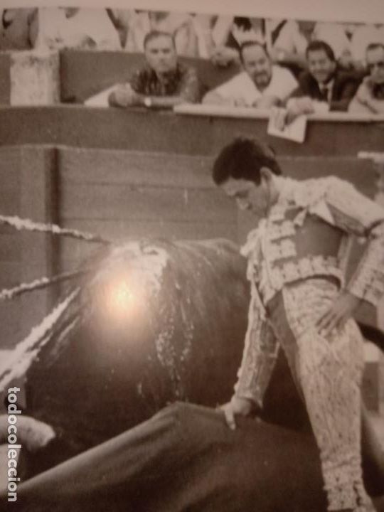 Libros de segunda mano: COMO VER UNA CORRIDA DE TOROS - Foto 4