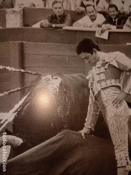 Libros de segunda mano: COMO VER UNA CORRIDA DE TOROS - Foto 6
