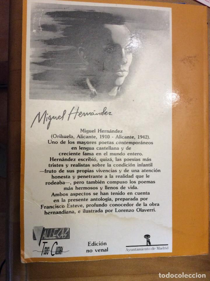 Libros de segunda mano: LIBRO MIGUEL HERNANDEZ PARA NI&Ntilde;OS. EDICIONES DE LA TORRE - Foto 2