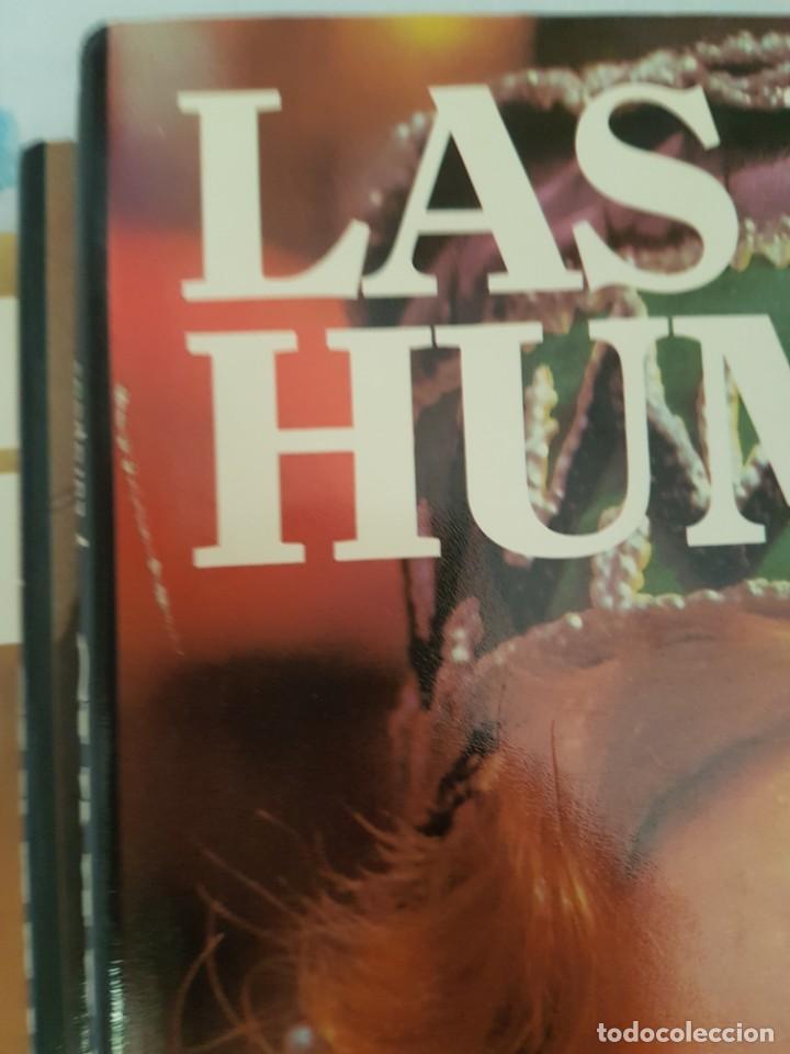 Libros de segunda mano: Las razas humanas. Instituto Gallach - Foto 5
