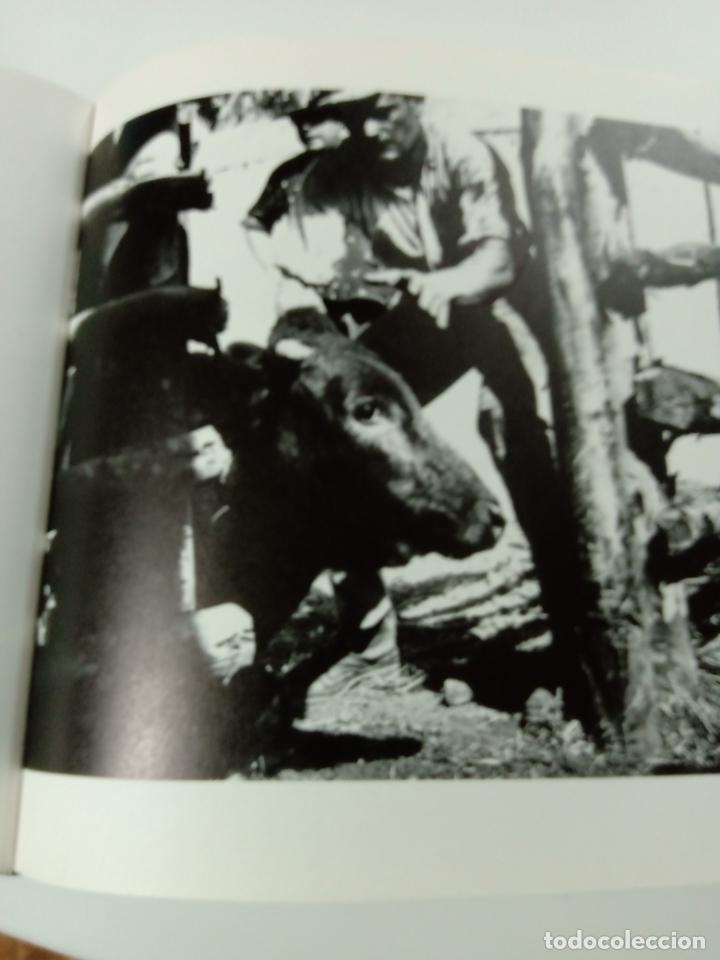 Libros de segunda mano: TOROS DE IBERIA - Foto 3